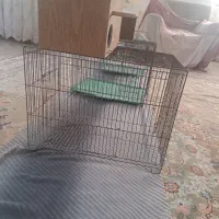 قفسه پرنده