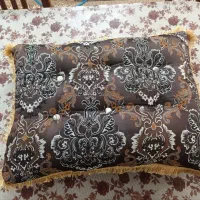 پشتی تمیز و خوشرنگ دگ رو