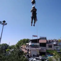 برش و قطع درخت|خدمات باغبانی و درختکاری|تهران, ازگل|دیوار