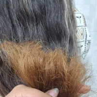 آموزش|خدمات آموزشی|بیرجند, |دیوار