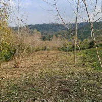 1000متر زمین باغی