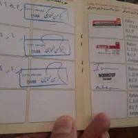 سگ شیتزو|سگ|دماوند, گیلاوند|دیوار