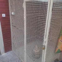 گنجه آهنی بانی بندی