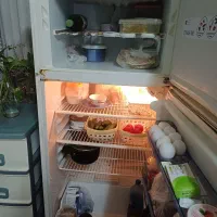 یخچال و فریزر|یخچال و فریزر|رشت, پاستوریزه|دیوار