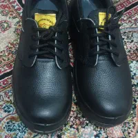 کفش ایمنی