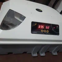 دستگاه جوجه کشی داتیکس۵