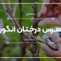 حرص و پیوند انگور و پسته و همه نوع درختان