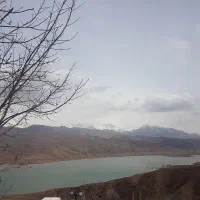 استخدام زوج بدون فرزند ویا مادرفرزند