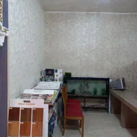 کاغذ دیواری|مصالح و تجهیزات ساختمان|سمنان, |دیوار