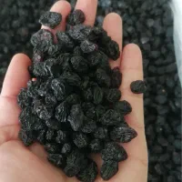 کشمش و مویز کاشمر|خوردنی و آشامیدنی|سبزوار, توحیدشهر|دیوار