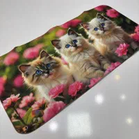 نمگیر سایز بزرگ