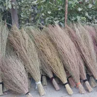 جارو|جاروبرقی، جارو شارژی، بخارشو|هرسین, |دیوار