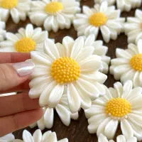 شمع و گیفت خاص