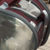 کوله پشتی سگ
