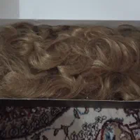 کلاه گیس|آرایشی، بهداشتی، درمانی|مشهد, طبرسی شمالی|دیوار