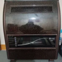 بخاری در حد نو