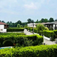 زمین شهرکی ویوجنگل دریاکوهپایه ای220متر باانشعابات