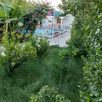 ویلا باغ استخر ۱۰۰ متری آب گرم . پل الغدیر|اجارهٔ کوتاه‌مدت ویلا و باغ|اندیمشک, |دیوار