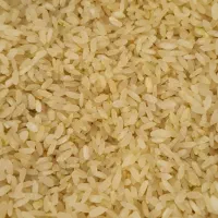 برنج اصل کامفیروز درجه یک بسیار مرغوب به شرط