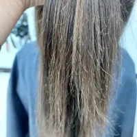 مو خوره گیری|خدمات آرایشگری و زیبایی|شوشتر, |دیوار