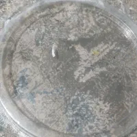 قالب طلقی|ظروف نگهدارنده، پلاستیکی، یکبارمصرف|بندر ماهشهر, |دیوار