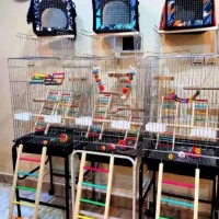 قفس طوطی سانان ۱۰۳۳بزرگ و ۱۰۳۲