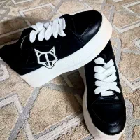 کتونی لژدار