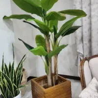 درخت چه|گل مصنوعی|تهران, مشیریه|دیوار