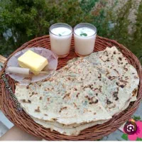 شاطر کلانه کوولیره