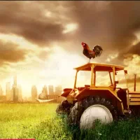 مجوزهای کشاورزی دامداری مرغداری گلخانه سند زمین