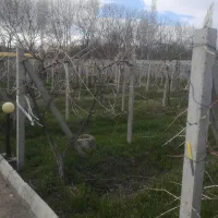 ویلای لوکس دوخواب برای سکونت داعم