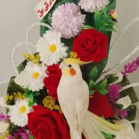 عروس هلندی