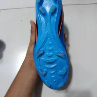 کفش استوک|کیف، کفش، کمربند|کیش, |دیوار