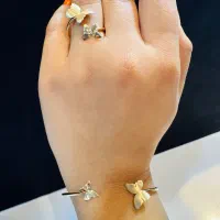 بنگل و انگشتر زمانی