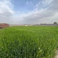 فروش-زمین-واقع-در-میانه-لار-اخر-کارگر-شمالی