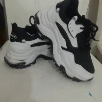 کفش سایز ۳۸