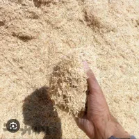 سلام200شلیف کاه آماده شلیفی 500تومن