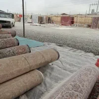 قالیشویی شهرری دیلمان جوانمرد دولت اباد رجایی|خدمات نظافت|تهران, کیانشهر|دیوار