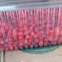زرشک تازه دونه شده قاین حراج نیم کیلو 150|خوردنی و آشامیدنی|قم, شاه سید علی|دیوار