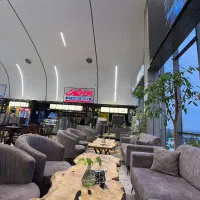 استخدام ویتر خانم