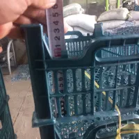 سبد ۷ کیلویی مواد نو