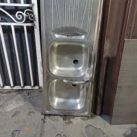 سینگ دوقلو همراه شیر