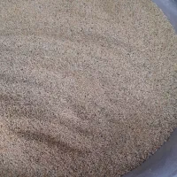 ارزن تازه بوجاری شده|پرنده|الوند, |دیوار
