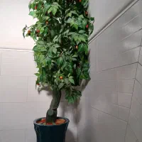 گل مصنوعی|گل مصنوعی|مرودشت, تامین اجتماعی‎|دیوار