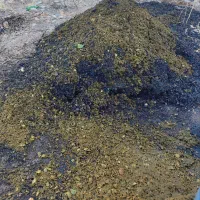 فروش پوست سبز گردو