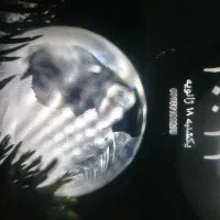 تبلت سامسونگ گلکسی تب A|تبلت|شیروان (خراسان), |دیوار