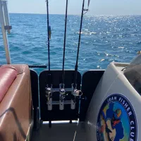 ماهیگیری حرفهای (کیش)|ماهیگیری|کیش, |دیوار