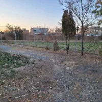 فروش خانه باغ در معصمیه (شهوه)|فروش خانه و ویلا|معصومیه, |دیوار