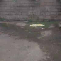 زمین ویلایی