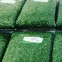 سبزی قورمه شمال